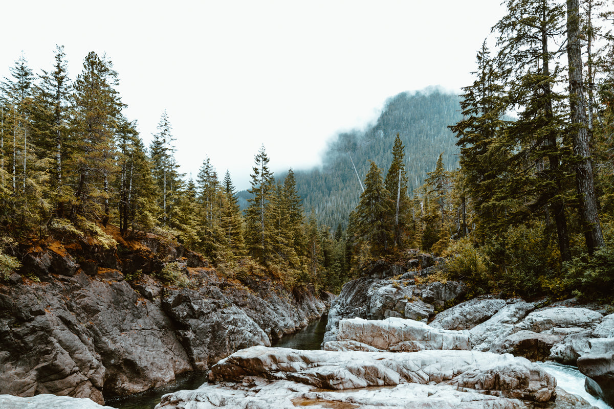 Felsen und Wasser in einer Waldlandschaft